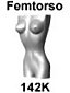 femaletorso